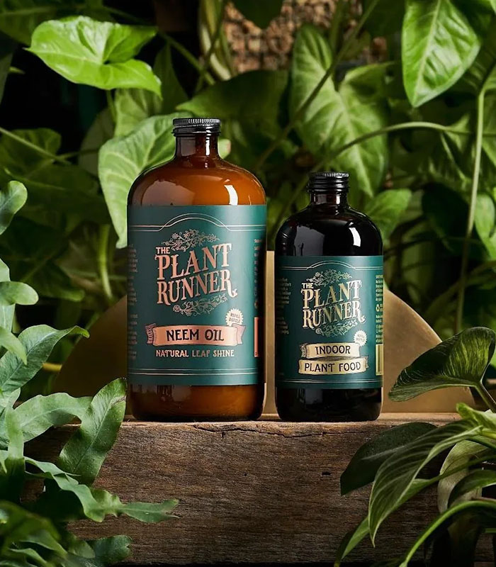 w-plant-care-neem-oil-1-0 Neem Oil Natural Leaf Shine - Image 1